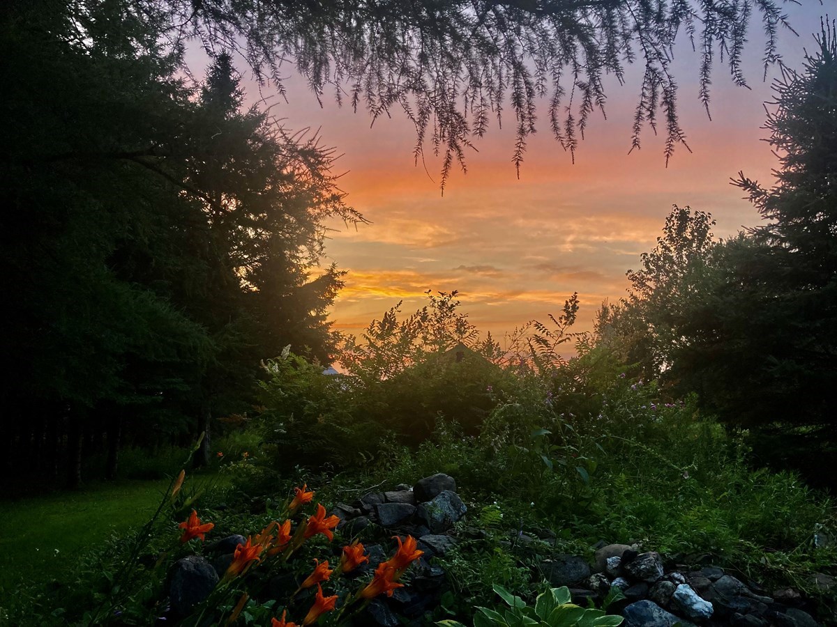 Galerie 3: la Beauce en été