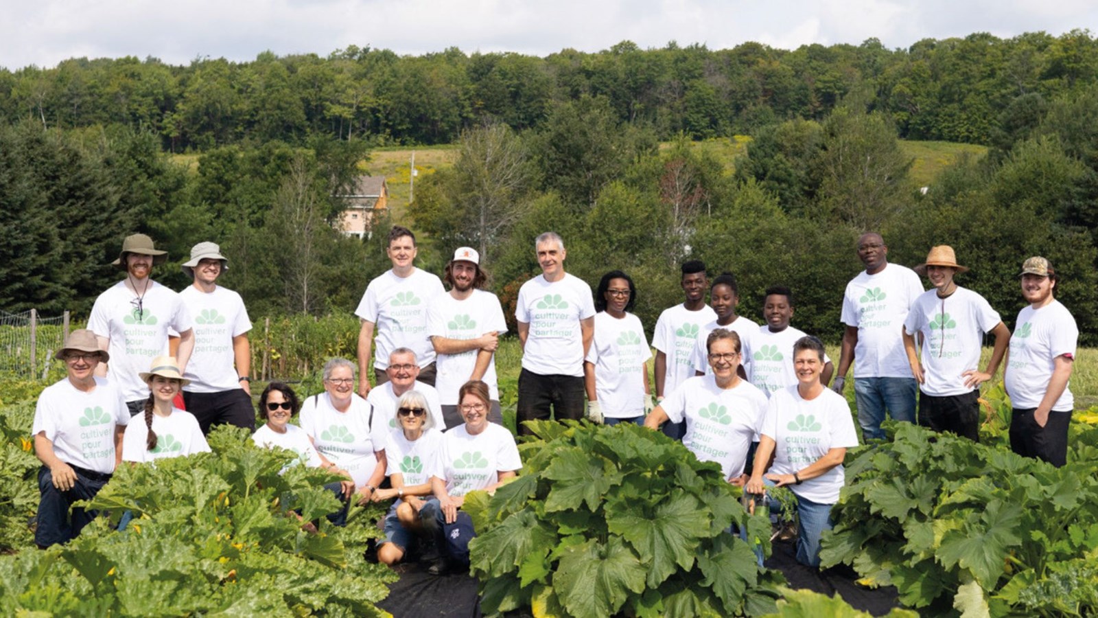 Les légumes sont cultivés sur une terre à Saint-Alfred.