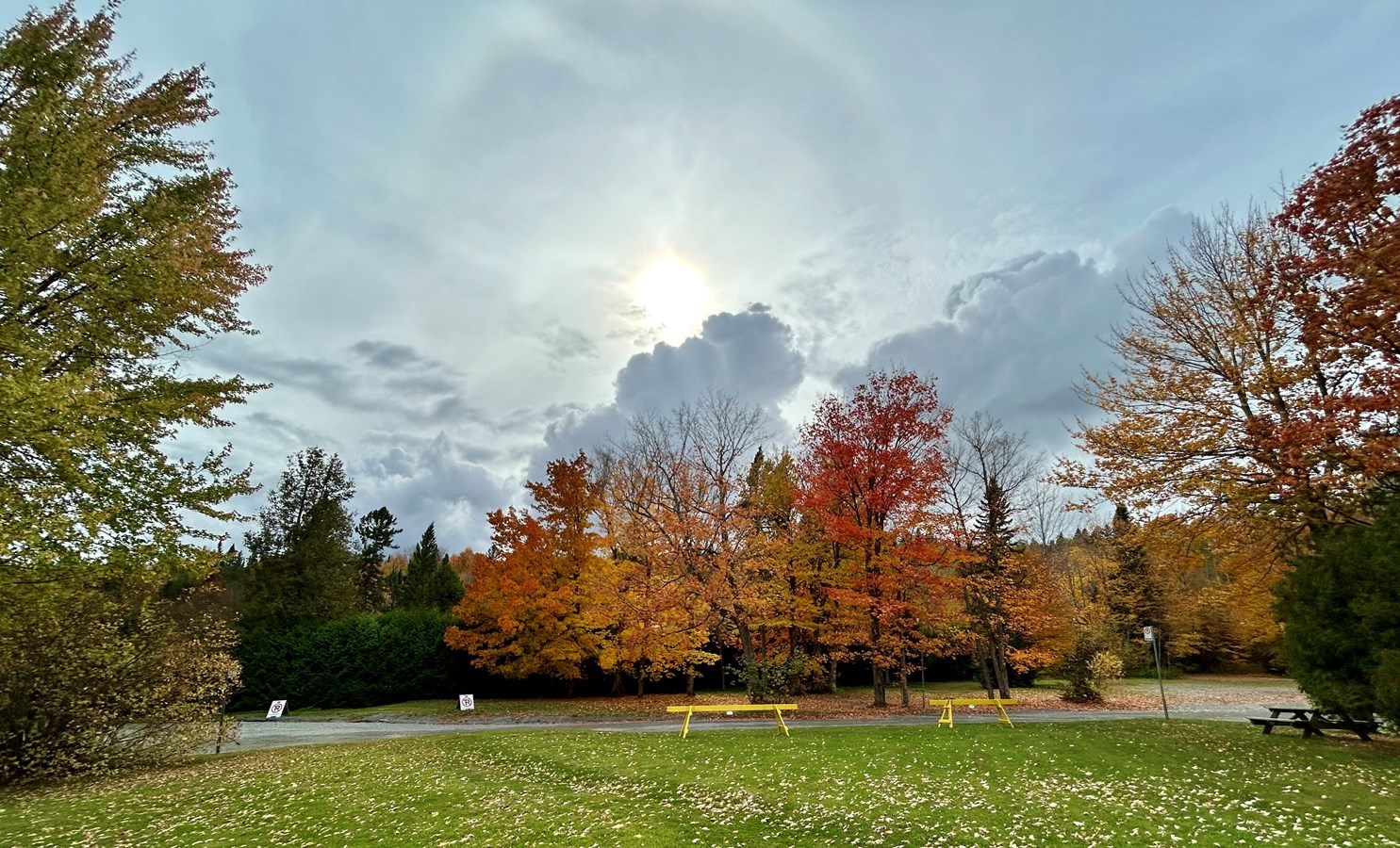 Galerie 1: l'automne aux mille couleurs