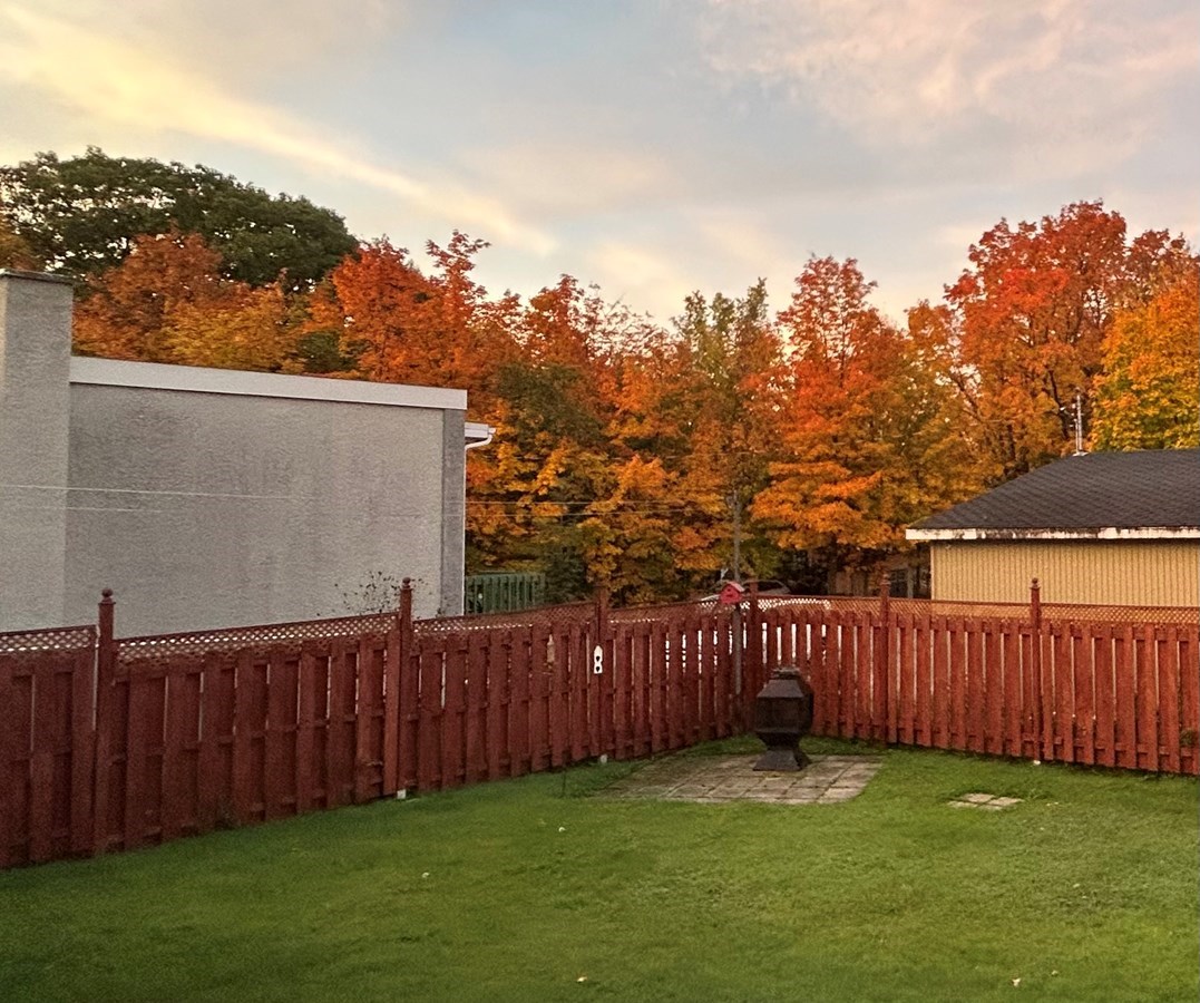 Galerie 1: l'automne aux mille couleurs