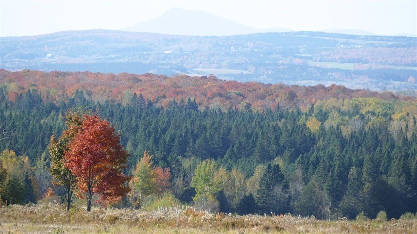 Important colloque régional sur l’avenir de la forêt