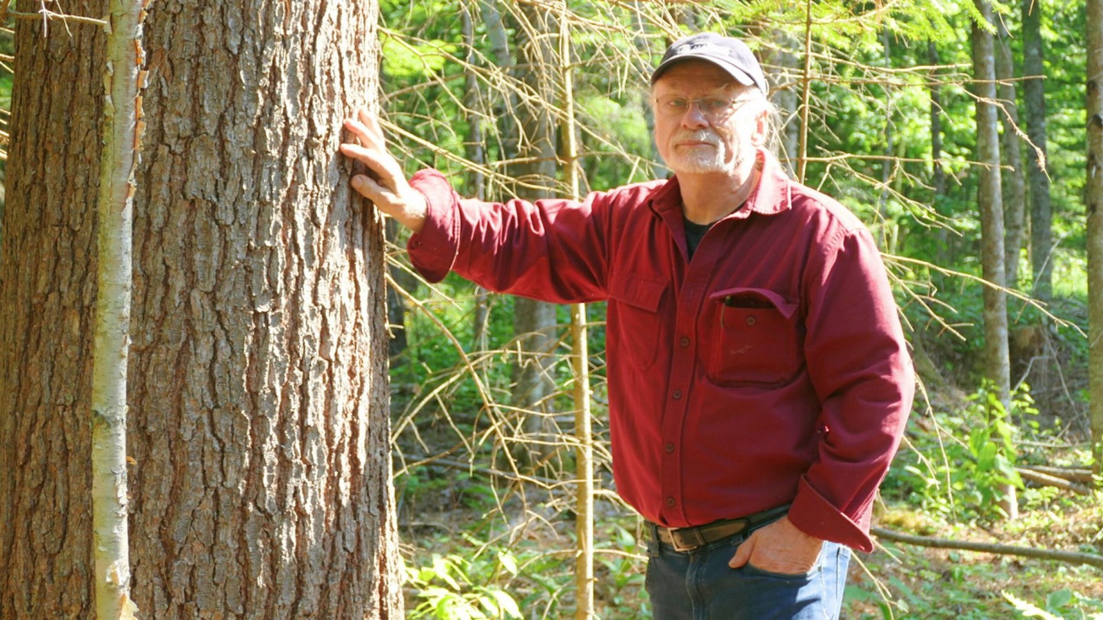 Yvan Bélanger sur son lot de 50 acres qu'il possède à Saint-Côme-Linière.