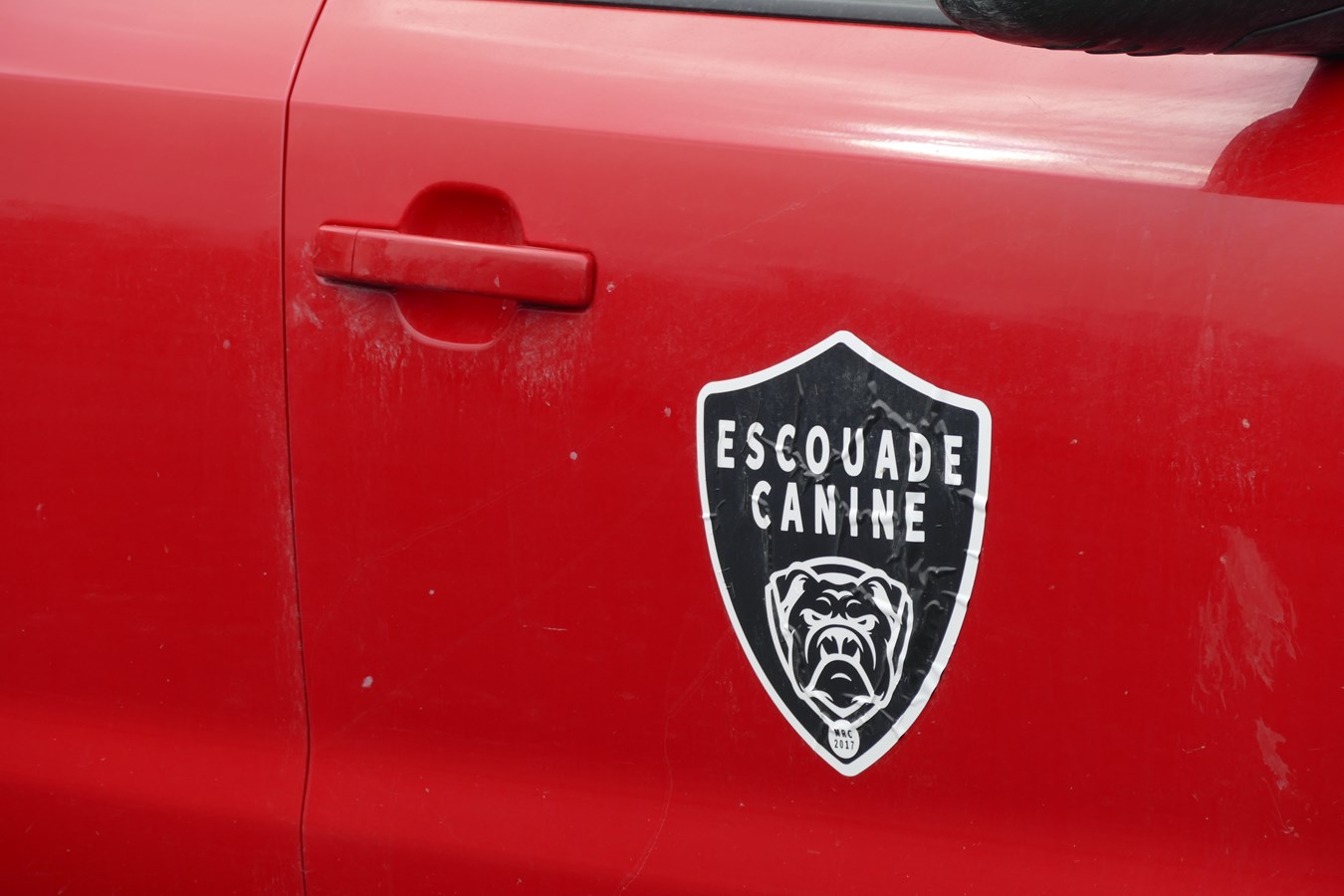 Escouade Canine : la femme du propriétaire relance un service animalier à Vallée-Jonction