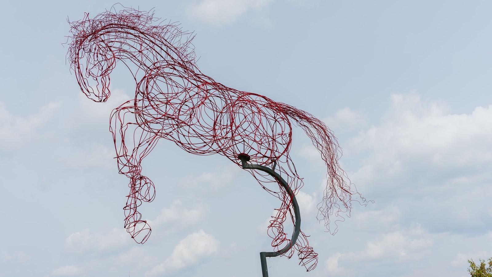 Cynthia Saenz (Costa Rica): Petit cheval de fer