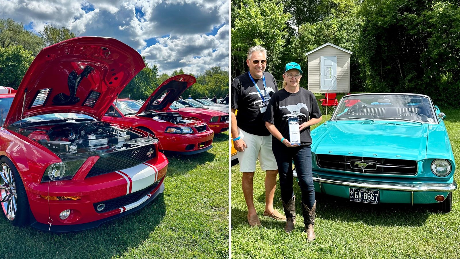 Une centaine de Mustang au 5e rendez-vous de Vallée-Jonction