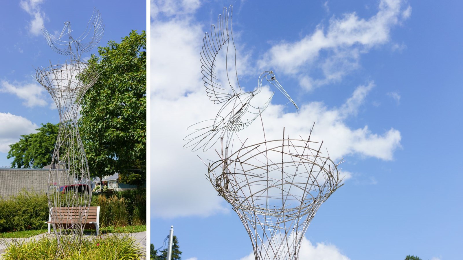 Francis Benincà (France): L'oiseau Vortex