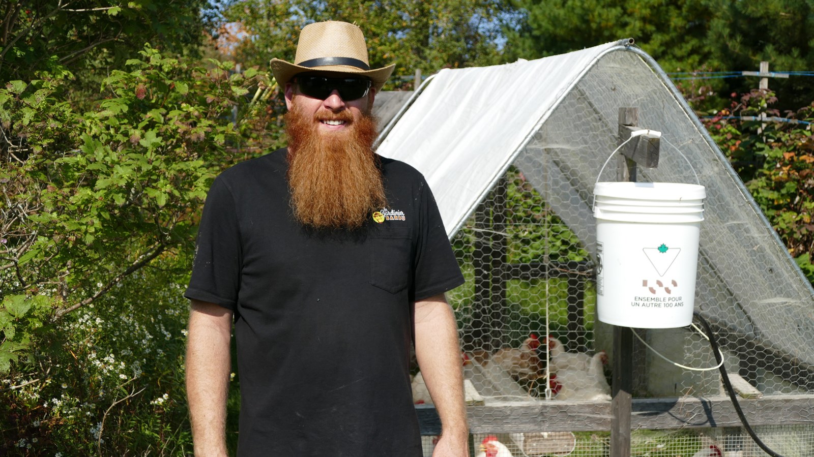 Le Jardinier Barbu : un élevage de poulets bio au cœur de Saint-Benoit-Labre