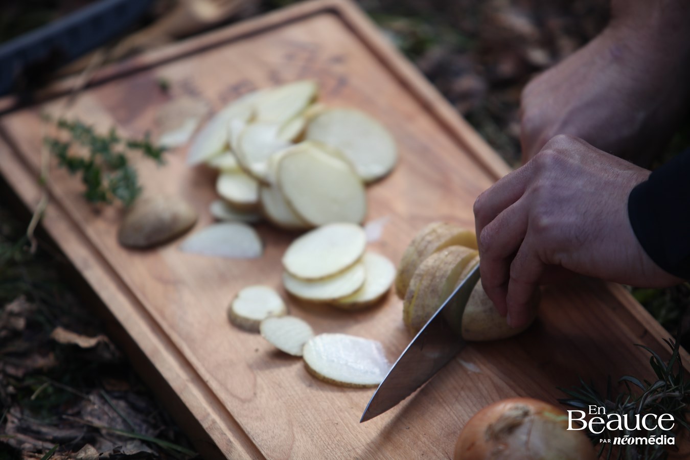 En Beauce, « Repères Sauvages » ravive l’art de la cuisine en pleine nature