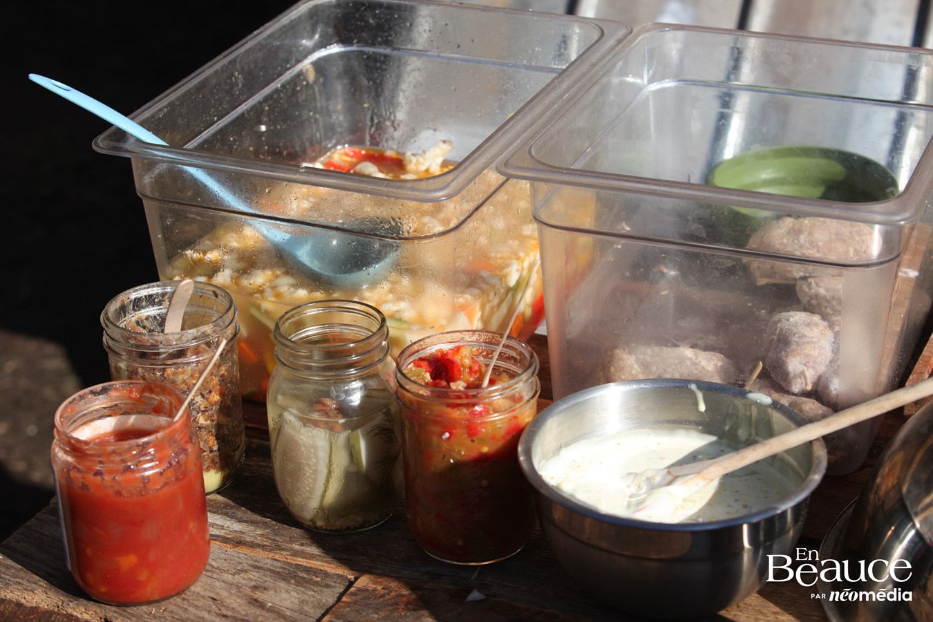 En Beauce, « Repères Sauvages » ravive l’art de la cuisine en pleine nature