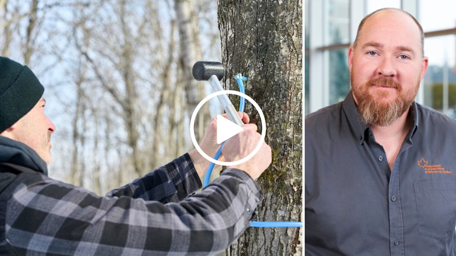 «Que restera-t-il pour la production de sirop en forêt publique si la ministre continue de se traîner les pieds de la sorte?», a déclaré le président des PPA Appalaches–Beauce–Lotbinière, Vincent Boutin.