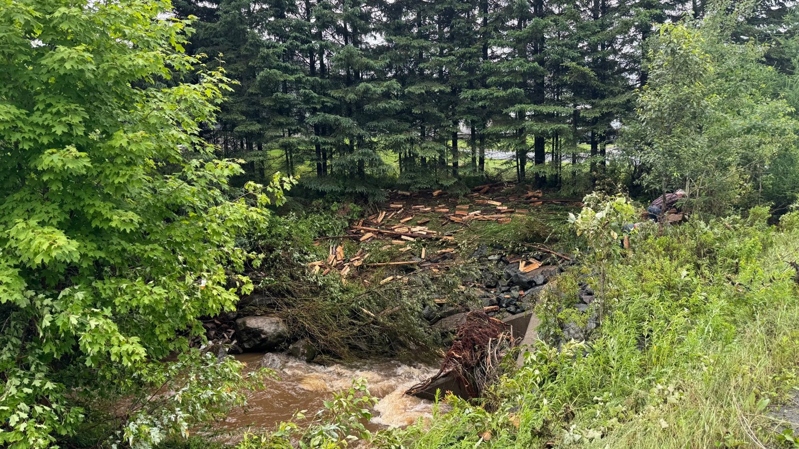 Dame Nature se déchaîne sur Lac-Etchemin