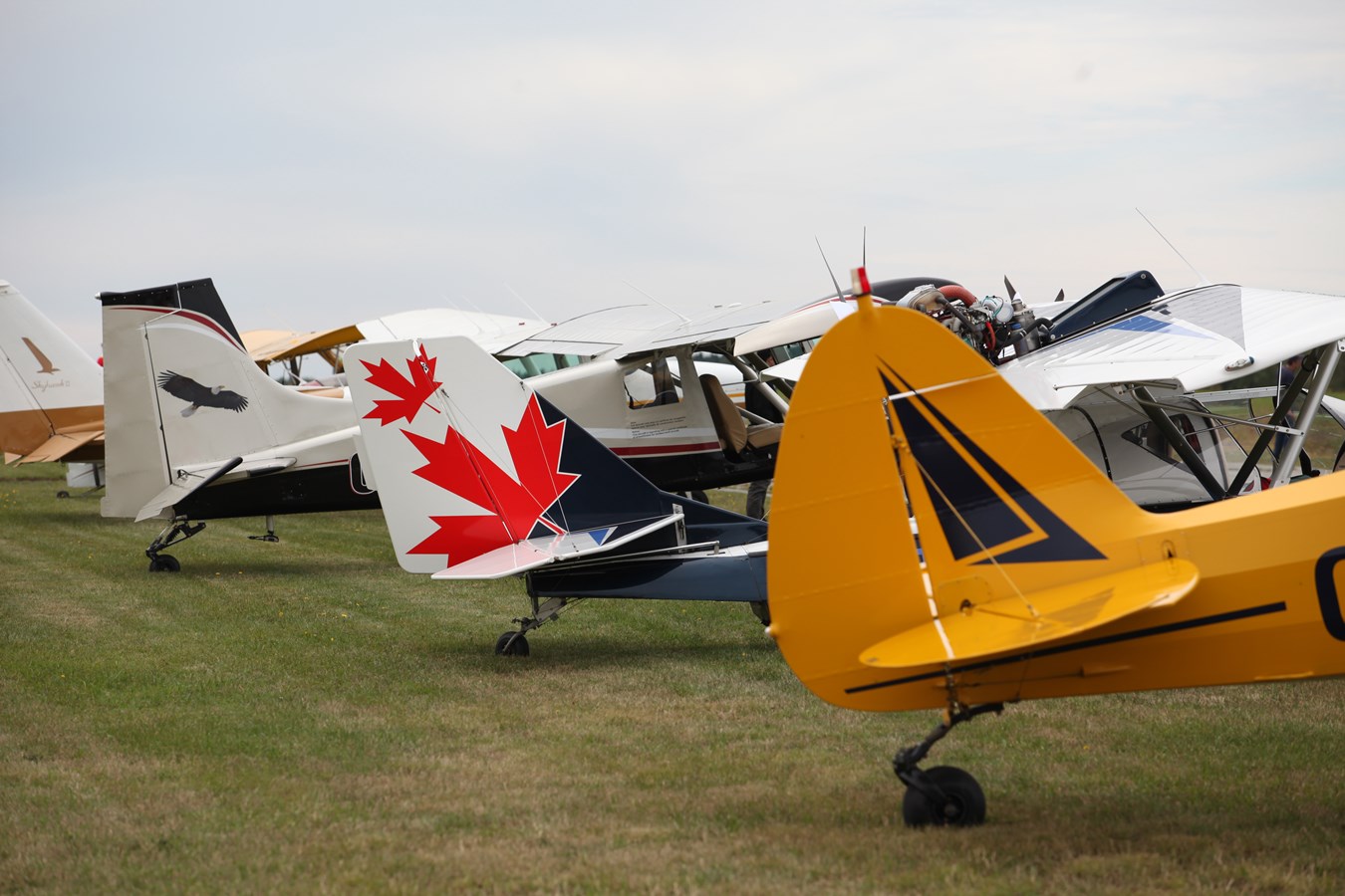 L’aéroport de Saint-Georges accueille un rassemblement de passionnés d’aviation