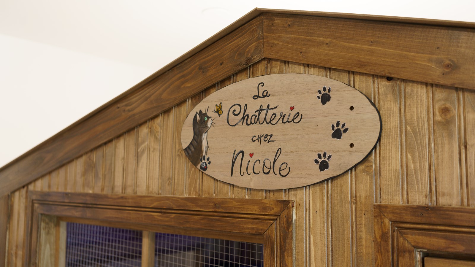 Kira embellit la vie des habitants de la Maison des aînés à Saint-Martin