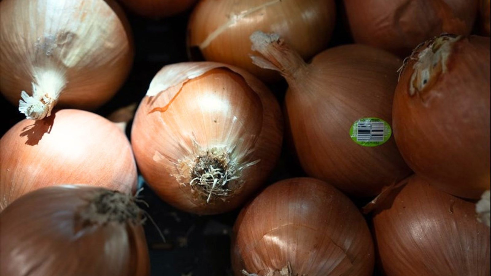 Sortie du premier portrait de l'alimentation des Québécois