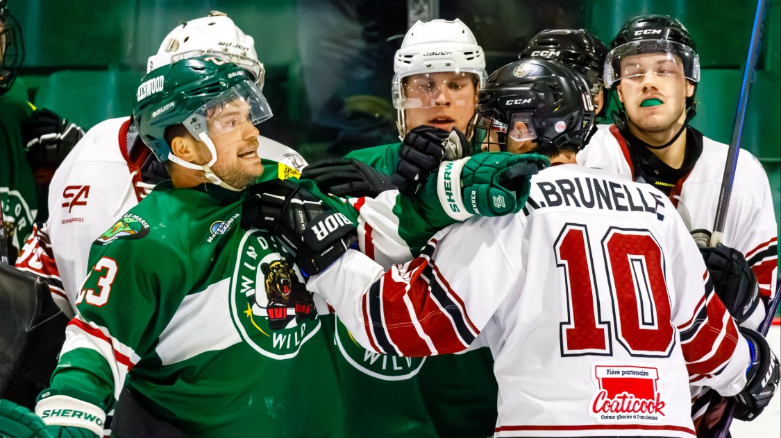 Début de saison de la Ligue régionale de hockey senior AA
