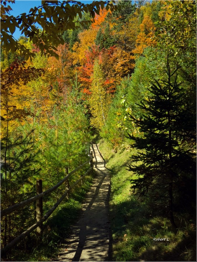 Parc 7 chutes
