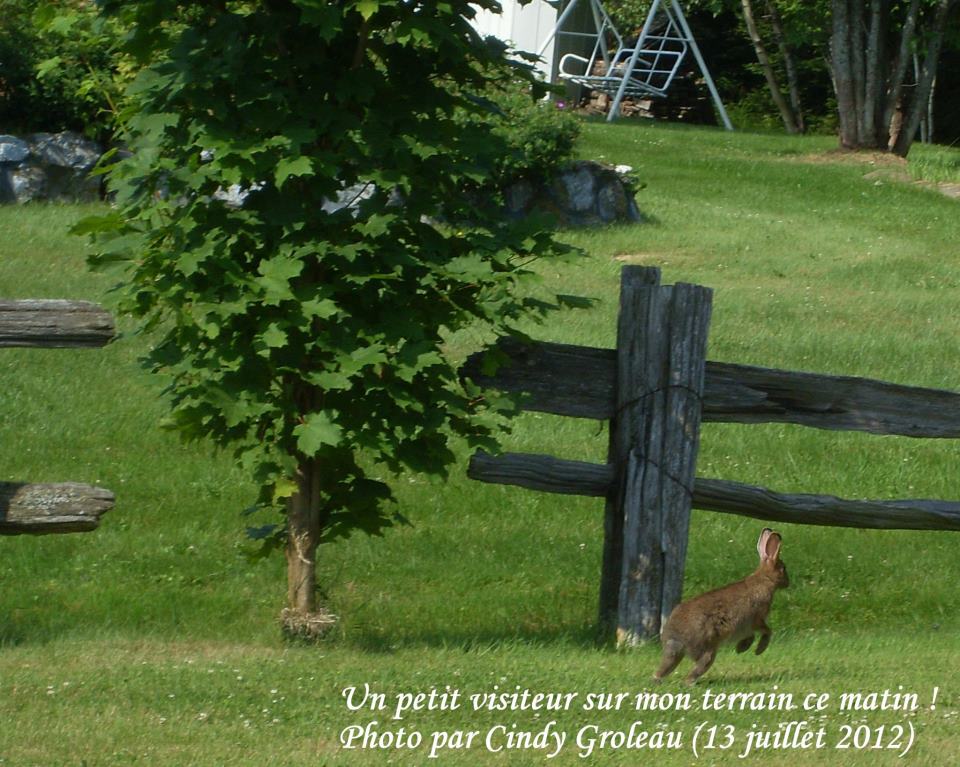 Visiteur surprise