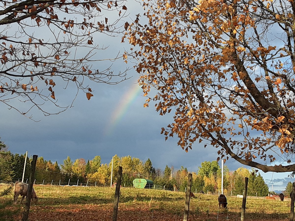 Photo de la région