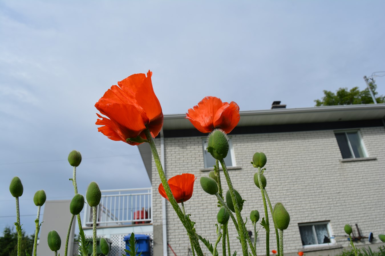 18 JUIN 2015
