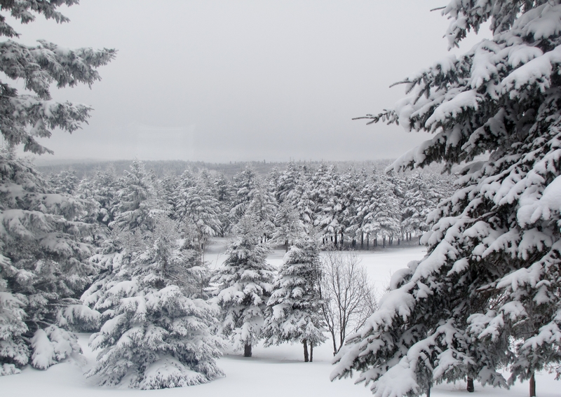 La magie de l'hiver