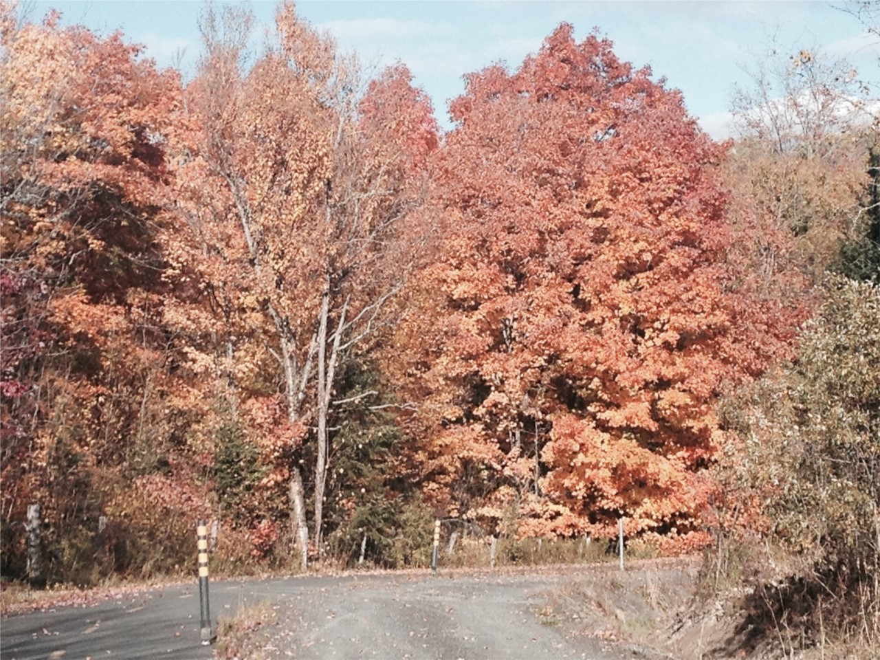 L'automne