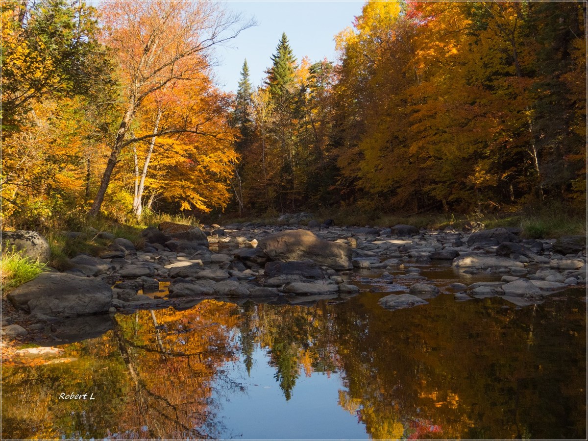 Parc 7 chutes
