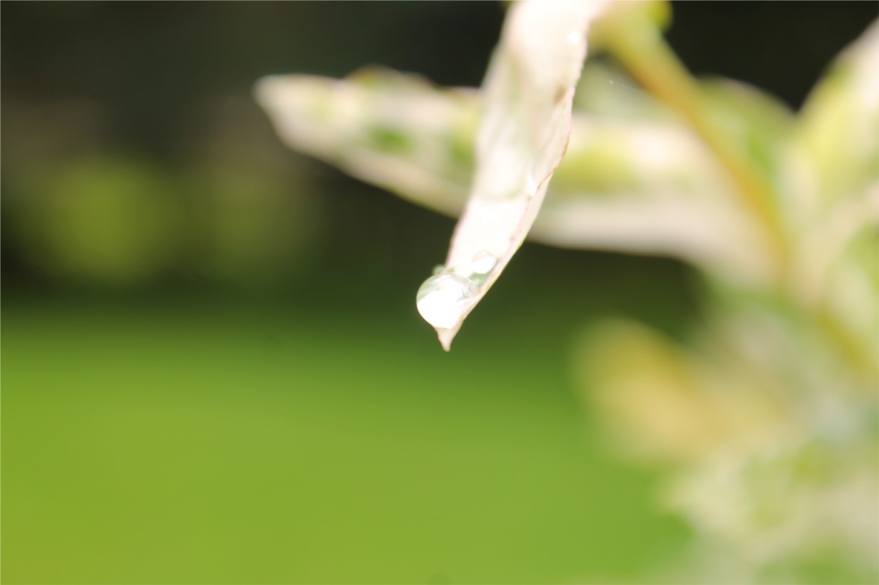 goutte d'eau