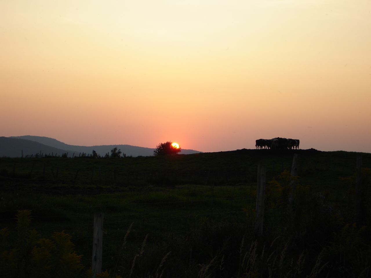 coucher de soleil