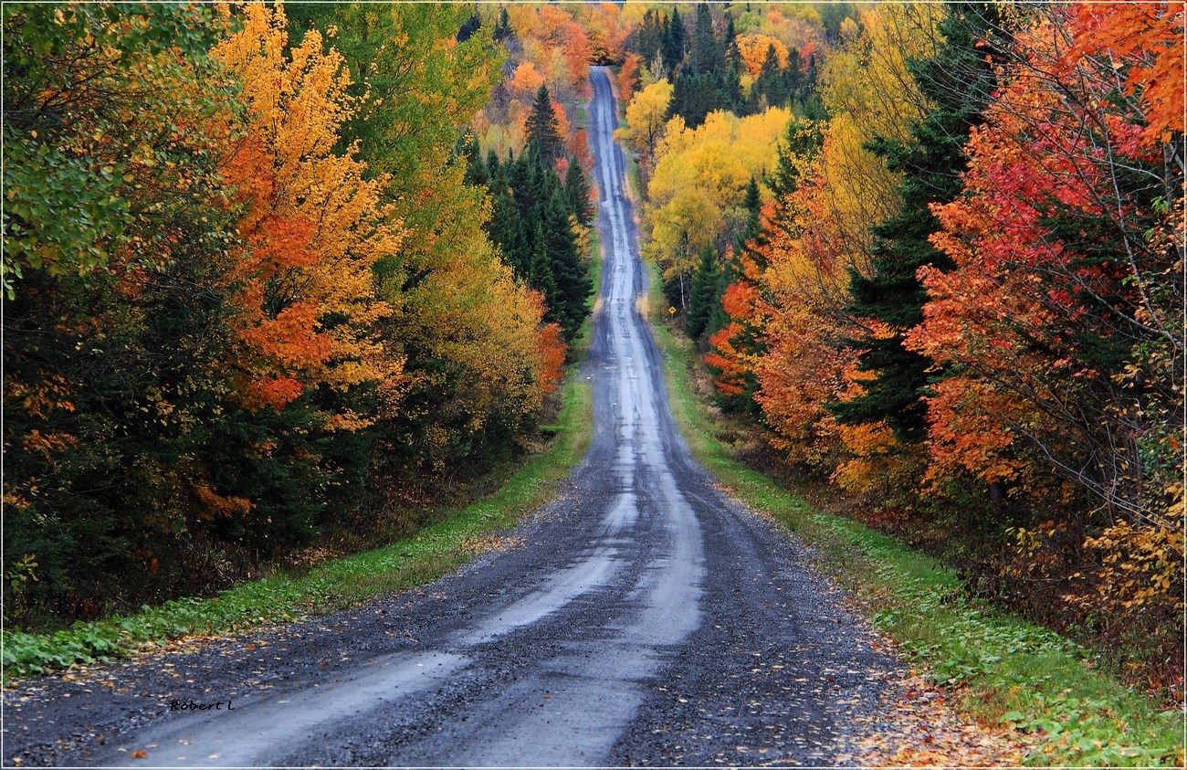 La Route