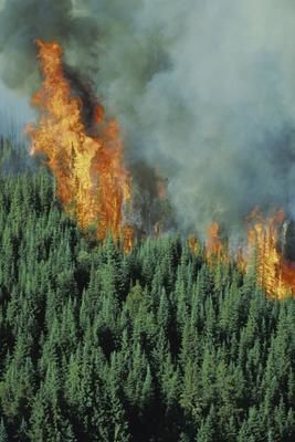Le danger d'incendie est en hausse