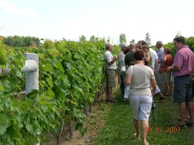 L'amour du vin à Saint-Thomas