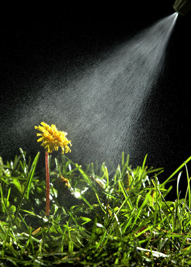 Huit municipalités légifèrent sur les pesticides dans Lanaudière