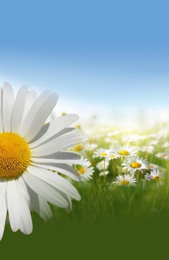 De nouveaux ateliers sur les maladies chroniques offerts gratuitement à la population