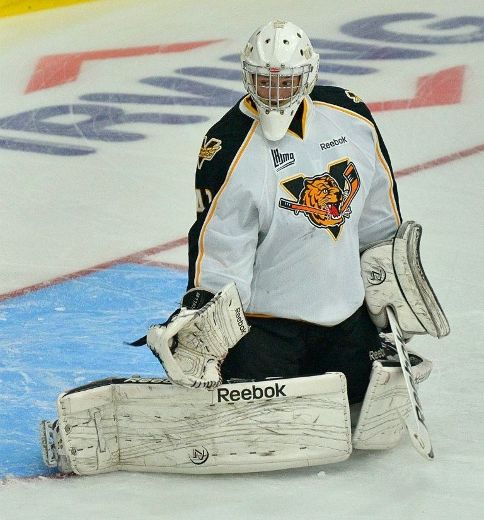 LHJMQ : Trois joueurs du nord de Lanaudière se taillent un poste