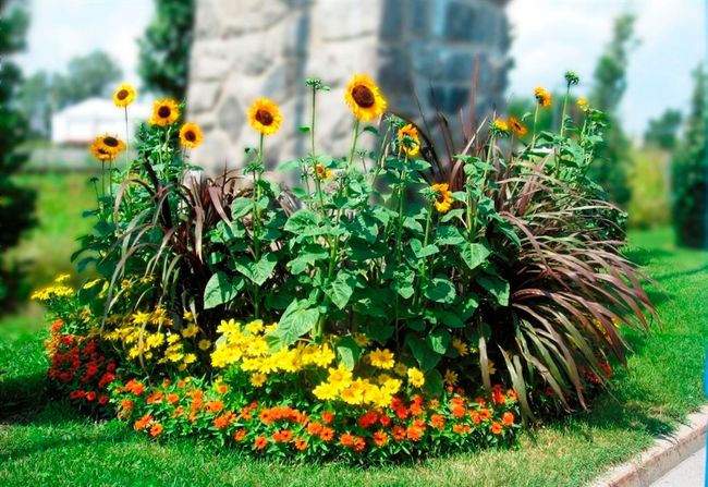 Fleurons du Québec : Joliette sera l’hôte d’un Atelier vert