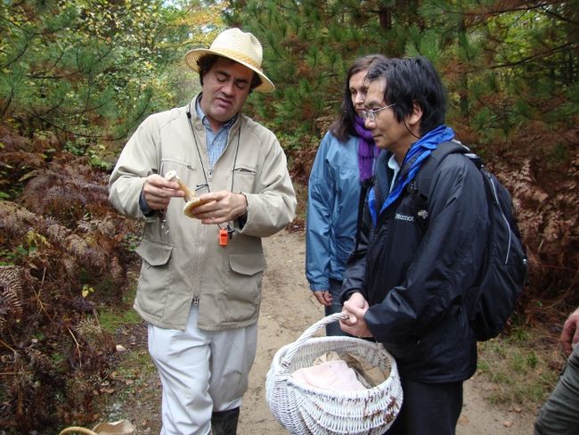 6 conférences au Salon forestier régional