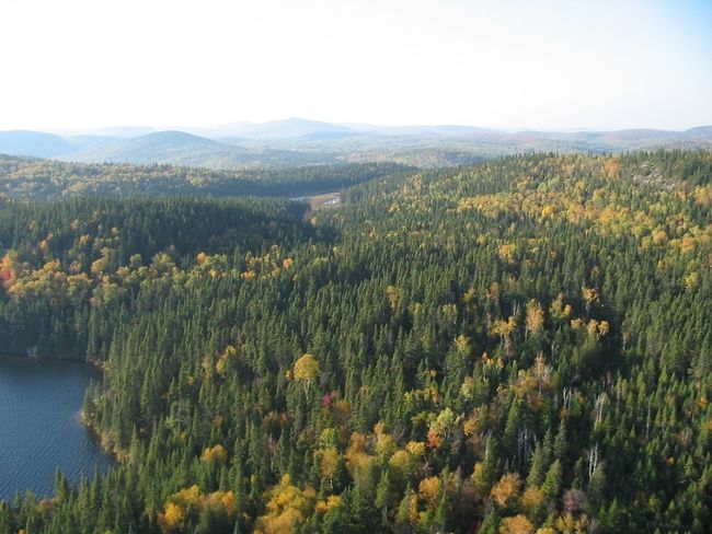 Dépôt des rapports de consultation publique sur les plans d’aménagement forestier intégré