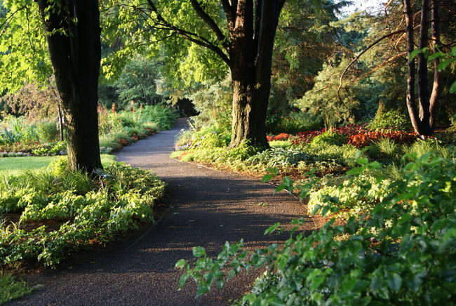 Visite découverte des jardins de la Maison Antoine-Lacombe