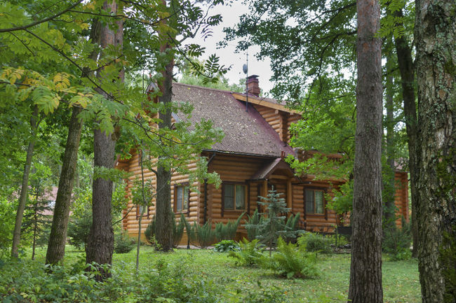 Des centaines de chalets sont à louer dans la région