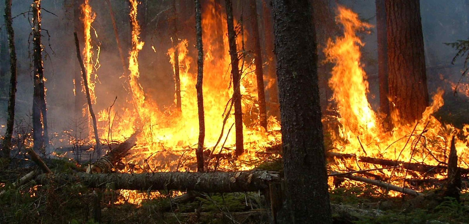 La SOPFEU annonce la levée de l’interdiction de faire des feux à ciel ouvert