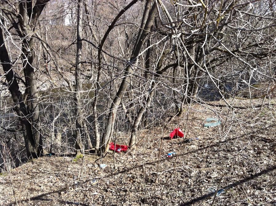 Nettoyage des berges le 17 mai au parc des Dalles