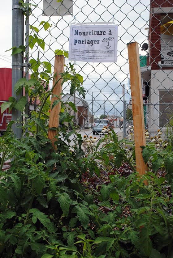 Rencontre entre les producteurs et les citoyens au Marché de solidarité régionale de Joliette