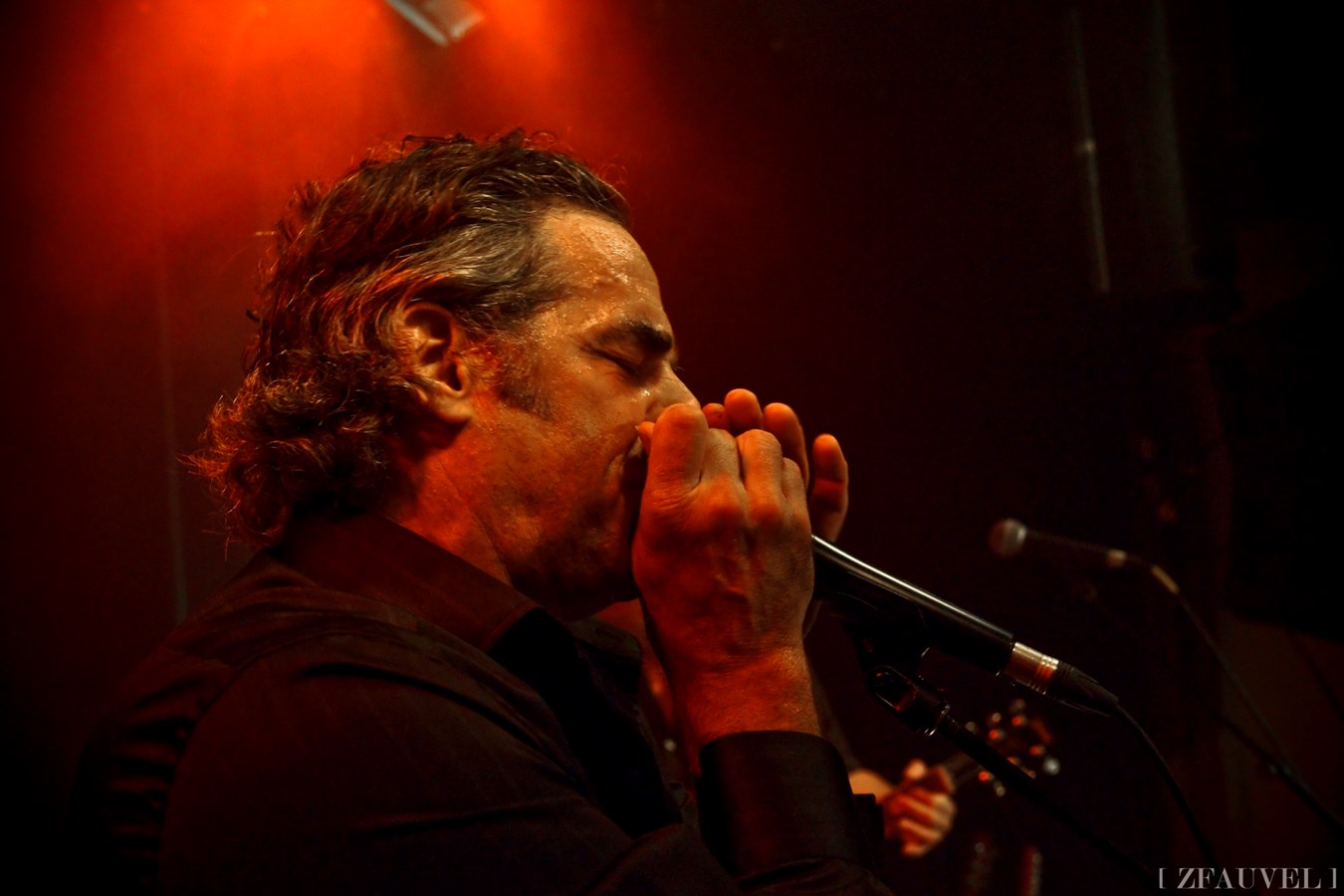 Alain Lépine présente « Mr Tambourine Man » 