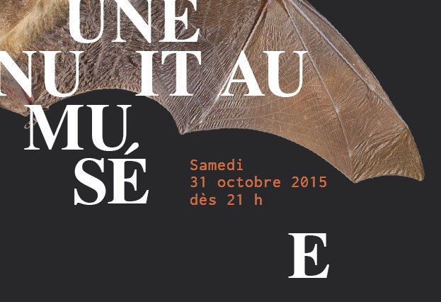 Le Musée d’art de Joliette tiendra l’activité “Une nuit au Musée” 