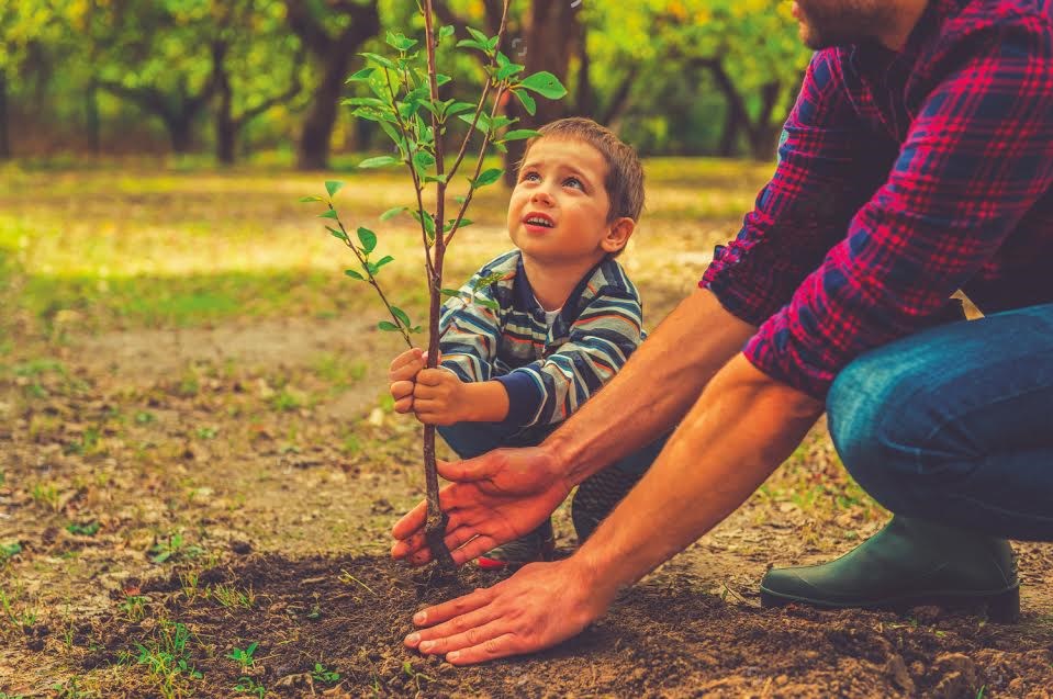 Une journée de l’arbre et de l’environnement bien remplie à Joliette