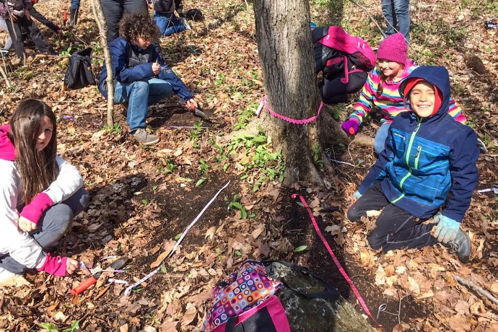 Des élèves s’impliquent dans la sauvegarde de l’ail des bois