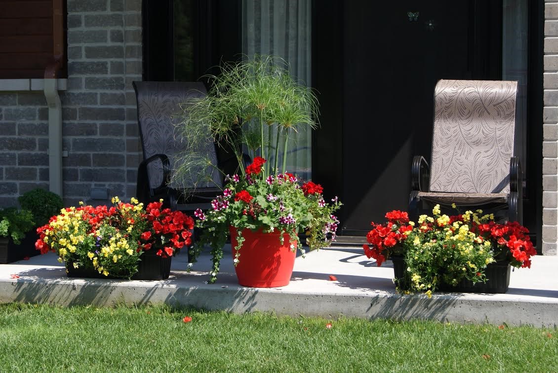 Concours Faites-vous une fleur à Saint-Charles-Borromée