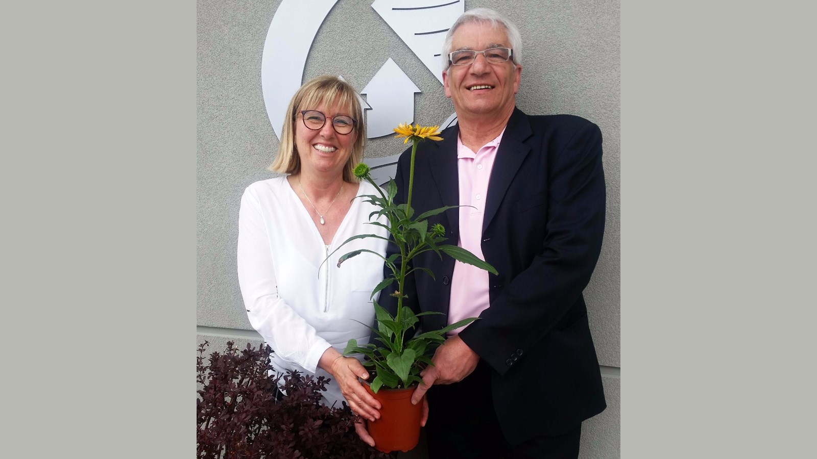 L’échinacée jaune : nouvelle fleur emblème pour Notre-Dame-des-Prairies!