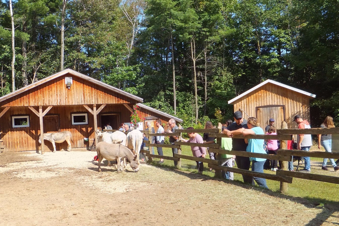 Un succès poour la 15e édition de la journée Portes Ouvertes UPA dans Lanaudière 