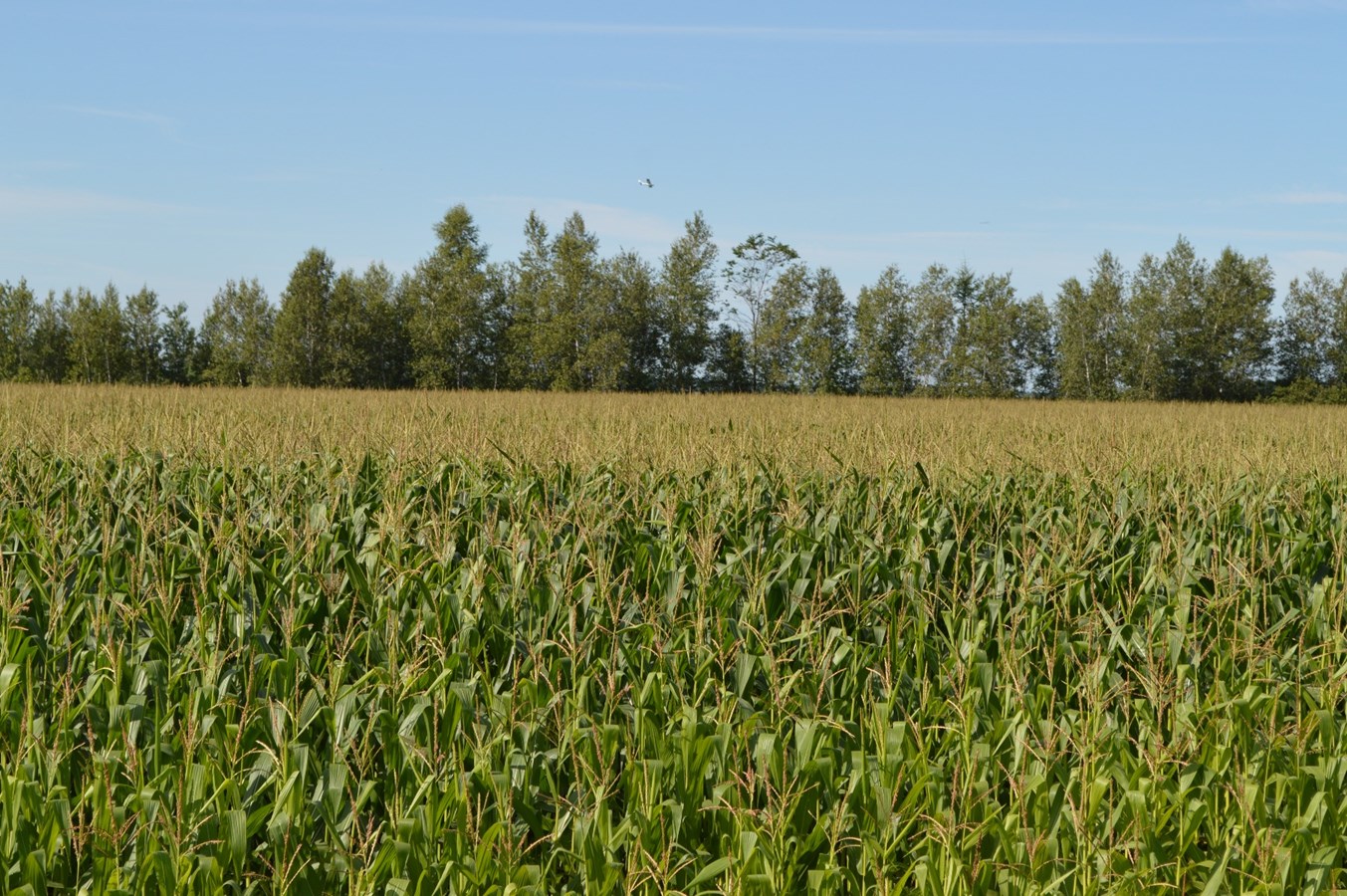 Plan de développement de la zone agricole: La MRC de Joliette débutera les démarches sous peu